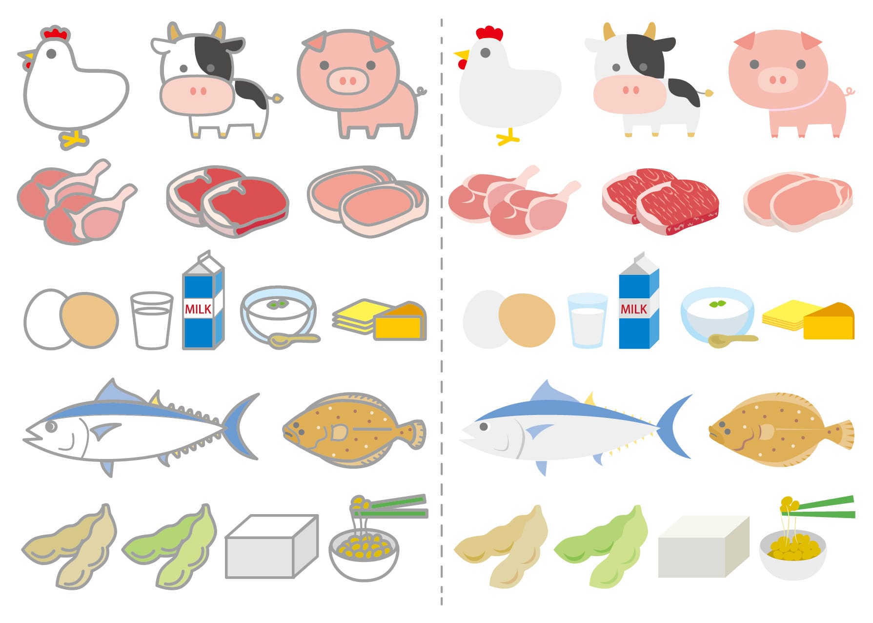 たんぱく質を多く含む食品のイラスト