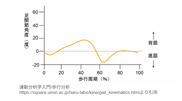 歩行時の足関節の間瀬悦の動きのグラフです