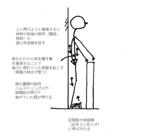 ストレッチボードで立つときの姿勢矯正イメージ
